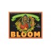 Bloom 1L