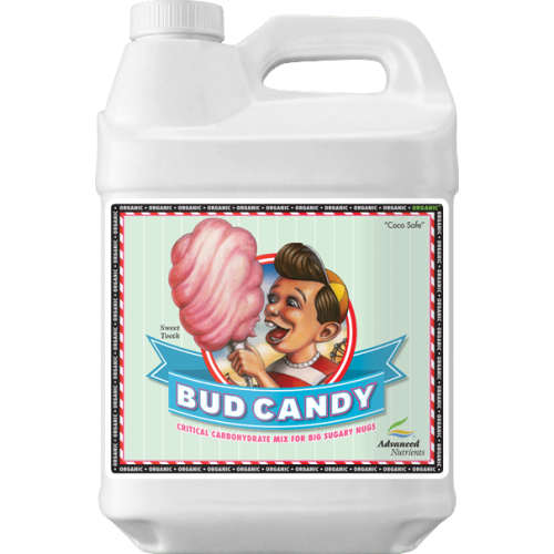 Bud Candy 0.5 L